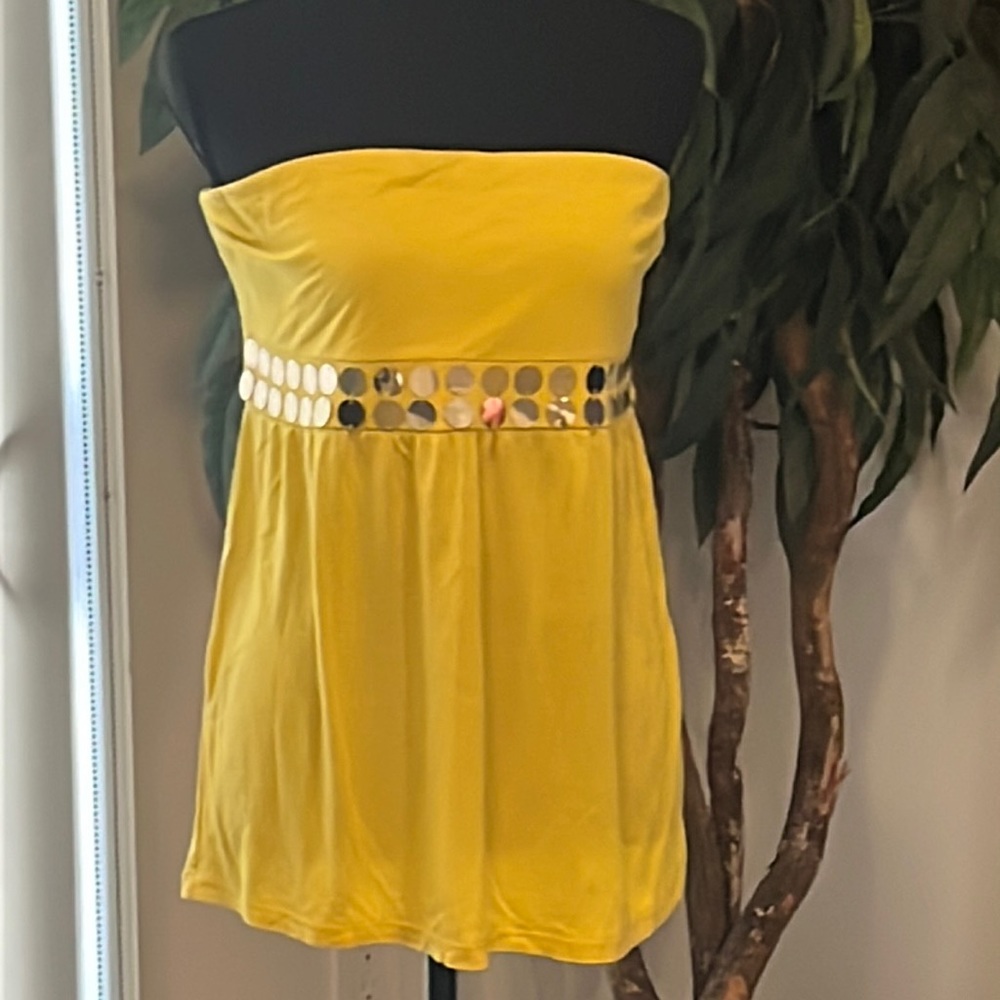 Express Strapless Tube Top